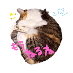 [LINEスタンプ] ねこちゃんたち。