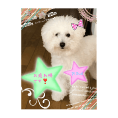 [LINEスタンプ] ピケその2
