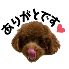 [LINEスタンプ] my name is matsuri❤︎