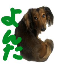 [LINEスタンプ] よんた