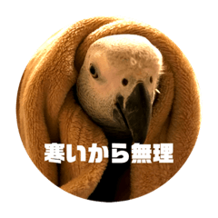 [LINEスタンプ] シュールピクチャー