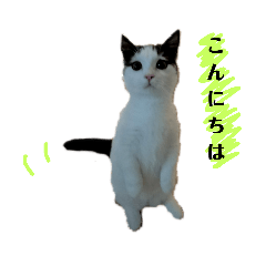 [LINEスタンプ] Love  ANCYU