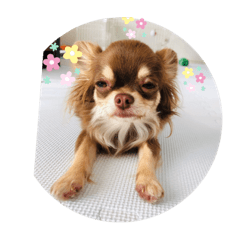 [LINEスタンプ] タラクラミック