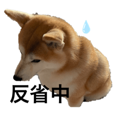 [LINEスタンプ] チョコやでpart2