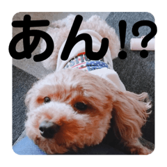 [LINEスタンプ] 寂しがり屋
