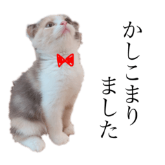 [LINEスタンプ] のなめさんちのゆず①