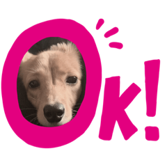 [LINEスタンプ] かにぱん1