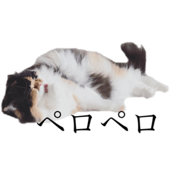 [LINEスタンプ] ミウポポルルテン