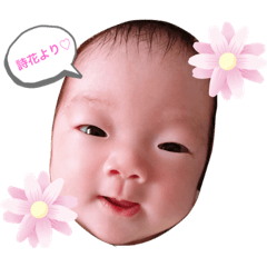 [LINEスタンプ] 詩花すたんぷ
