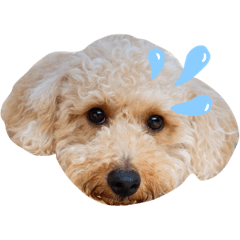 [LINEスタンプ] イッヌ。