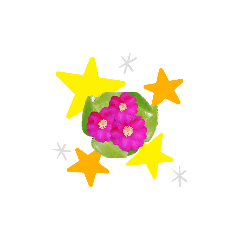 [LINEスタンプ] 椿 冬の花 紅白アレンジ