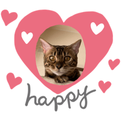 [LINEスタンプ] ベンガルのベルさん①
