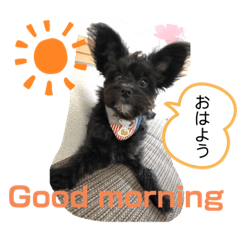 [LINEスタンプ] ♡パピプー  かりんの1日 part2♡