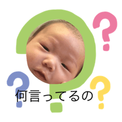 [LINEスタンプ] チビクロ