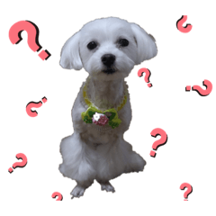 [LINEスタンプ] OEN