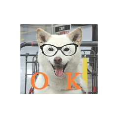 [LINEスタンプ] はなこ 0605