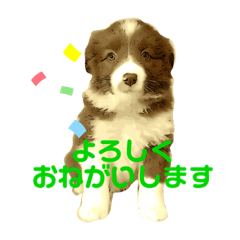 [LINEスタンプ] TORO 2