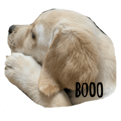 [LINEスタンプ] みくるのいる暮らし