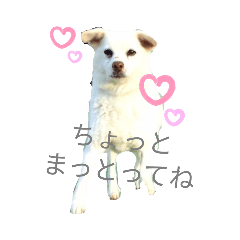 [LINEスタンプ] リリちゃんの1日