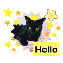 [LINEスタンプ] うちネコ気分