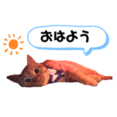 [LINEスタンプ] にゃんくんpart1