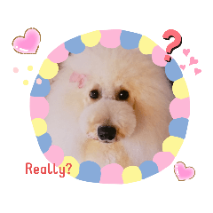 [LINEスタンプ] Happy Neige スタンプーネージュたん