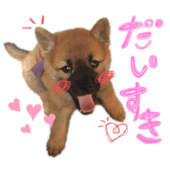 [LINEスタンプ] アキたん♡2