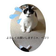 [LINEスタンプ] マチルダスタンプ1