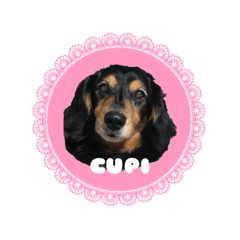 [LINEスタンプ] くぴちゃんスタンプ