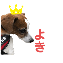[LINEスタンプ] らむぱん☆5
