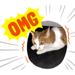 [LINEスタンプ] chiro09