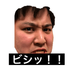 [LINEスタンプ] タディスタンプ