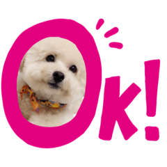 [LINEスタンプ] ラブちゃんスタンプ❤️