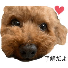 [LINEスタンプ] JOYくんスタンプ