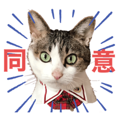 [LINEスタンプ] つかさの気持ち