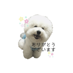 [LINEスタンプ] もこぴの日常使えるスタンプ