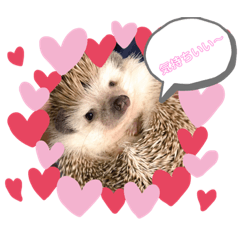 [LINEスタンプ] ゆかいなペット
