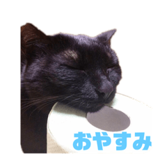 [LINEスタンプ] ジジたまにマシュマロ
