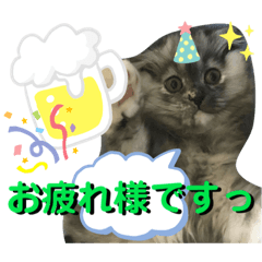 [LINEスタンプ] 【 ちくわちゃん スタンプ 】