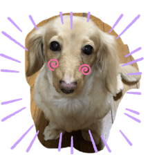 [LINEスタンプ] メーりん2