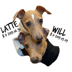 [LINEスタンプ] will＆latte #2
