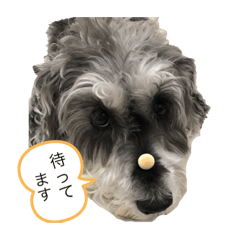 [LINEスタンプ] melon日常パート2