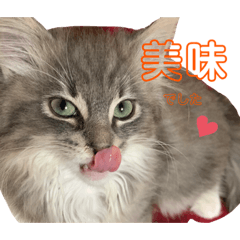 [LINEスタンプ] weegie-house3