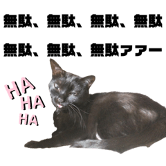[LINEスタンプ] ジジたまにマシュマロ2