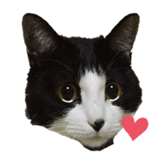 [LINEスタンプ] やんちゃなJIJI