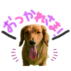 [LINEスタンプ] 楽太郎と幸次郎2