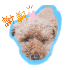 [LINEスタンプ] ココロのスタンプ2