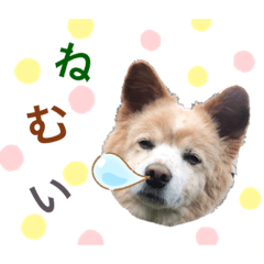[LINEスタンプ] ポコちゃんです②