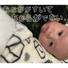 [LINEスタンプ] そらんだよ