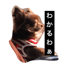 [LINEスタンプ] ちろっち関西弁